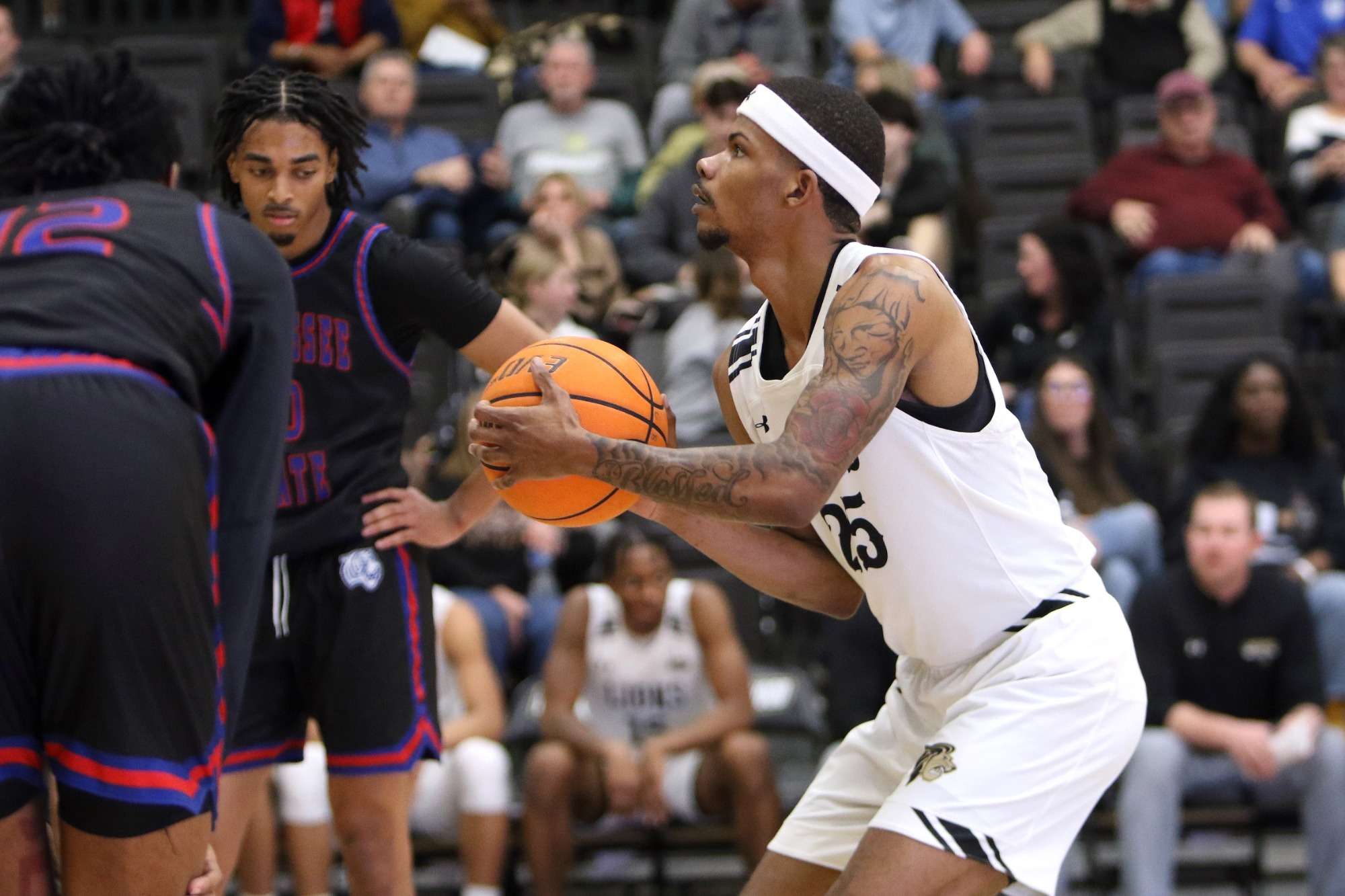 Read more about the article Darius Beane