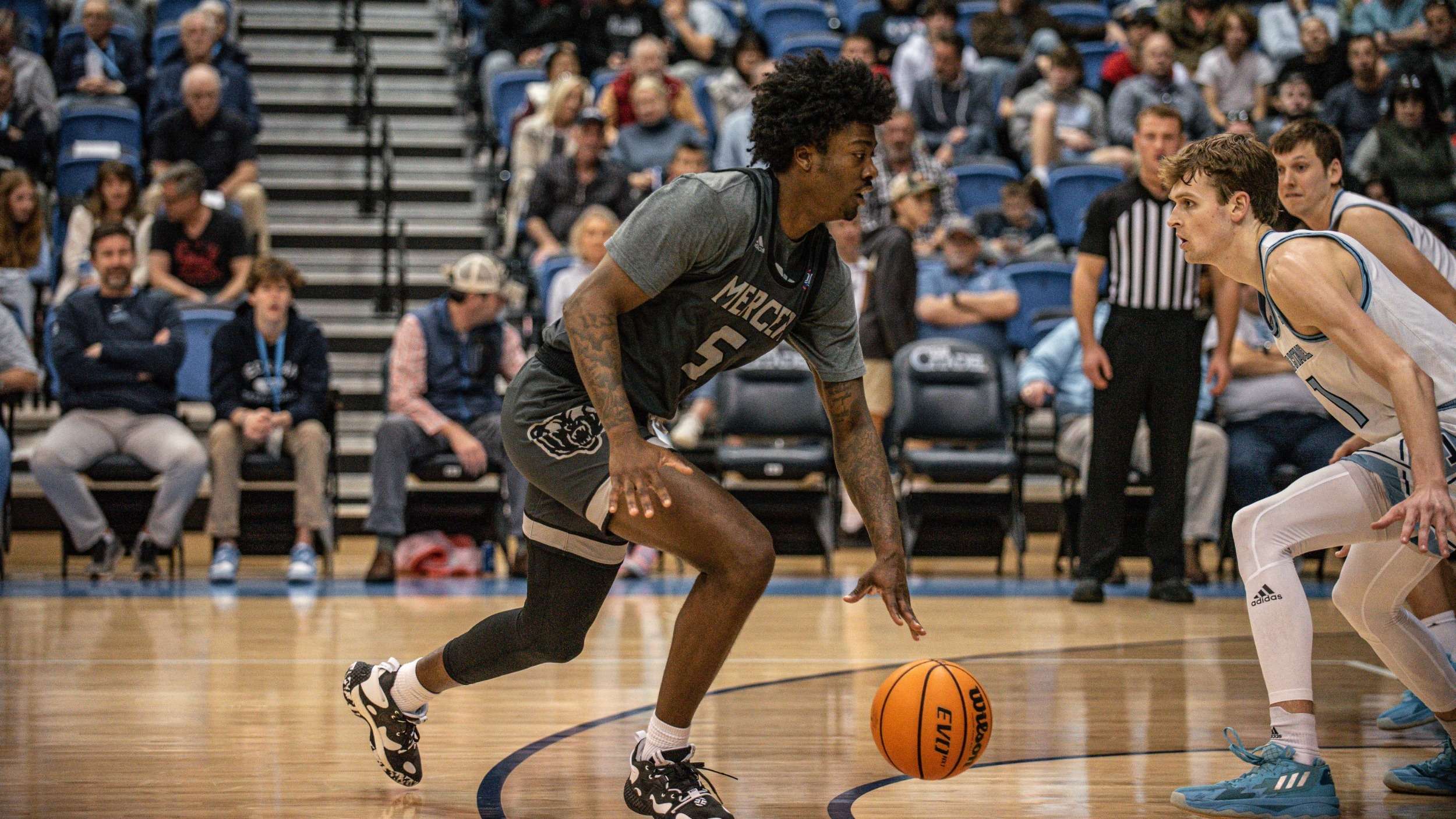 Read more about the article Jalyn McCreary
